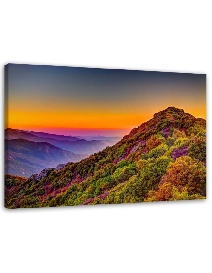 Canvas print Coloured hills