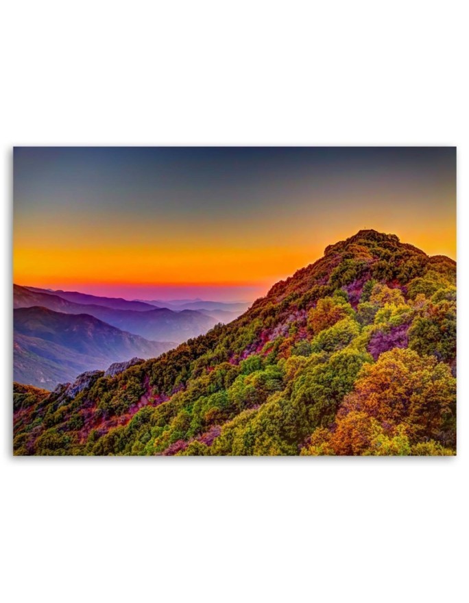 Canvas prints for living room - Colourful hills | FEEBY