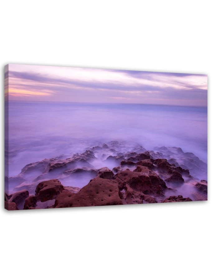 Canvas print Rocks in the mist