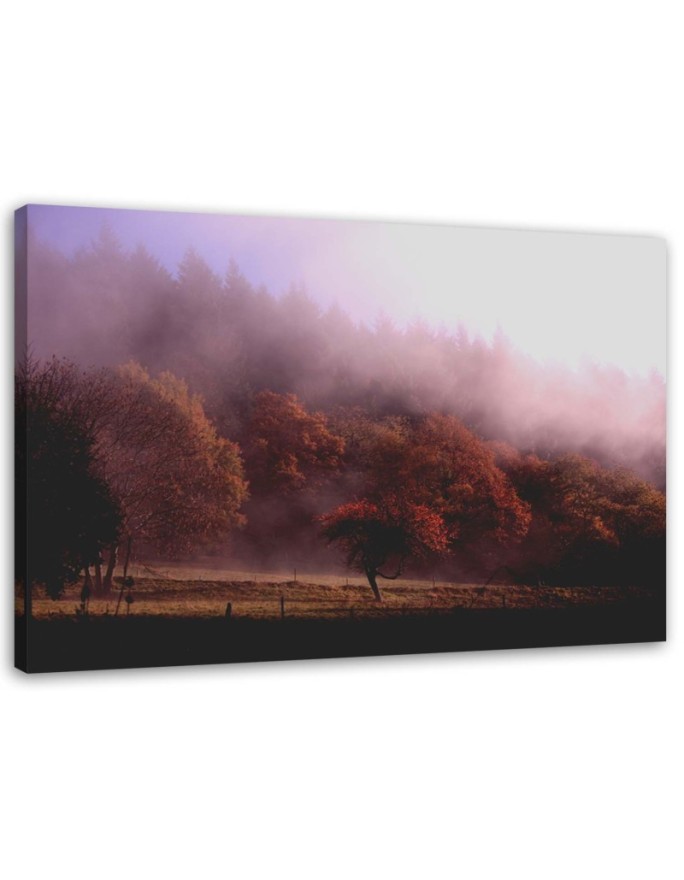 Canvas print Trees in the mist