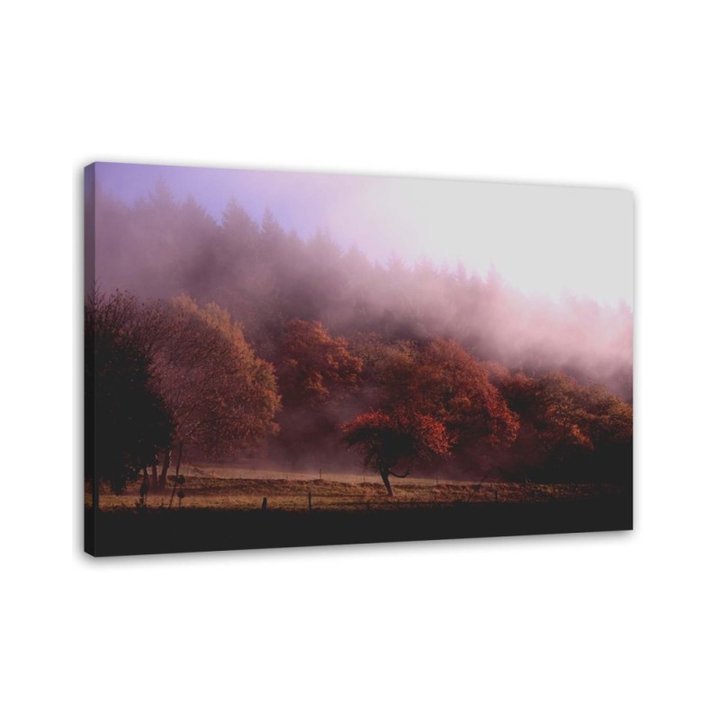 Canvas painting - Trees in the mist | FEEBY