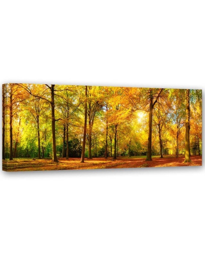 Modern Canvas painting for living room - Autumn forest landscape | FEEBY