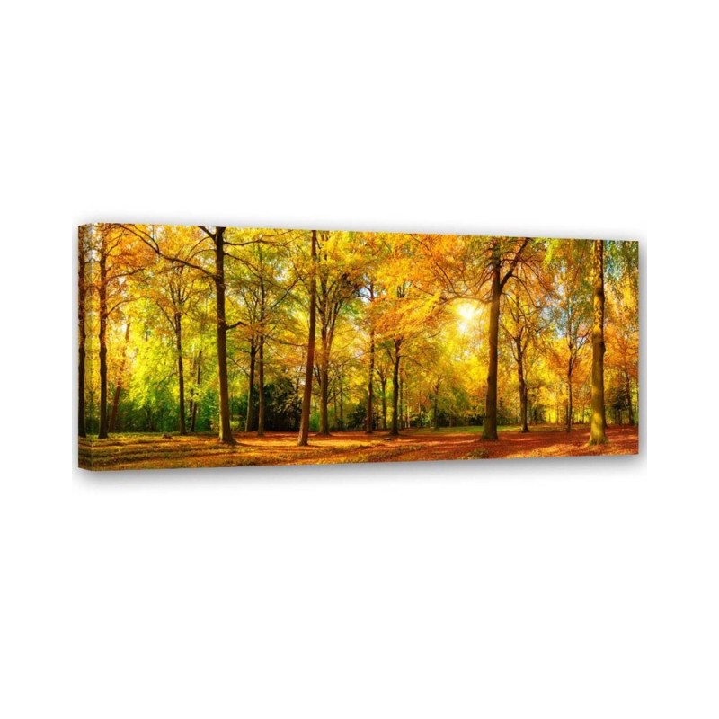 Modern Canvas painting for living room - Autumn forest landscape | FEEBY