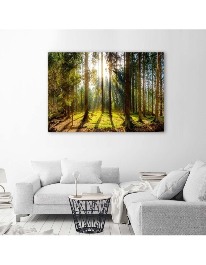 Canvas prints - Sunshine in the forest landscape | FEEBY