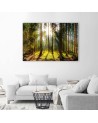 Canvas prints - Sunshine in the forest landscape | FEEBY