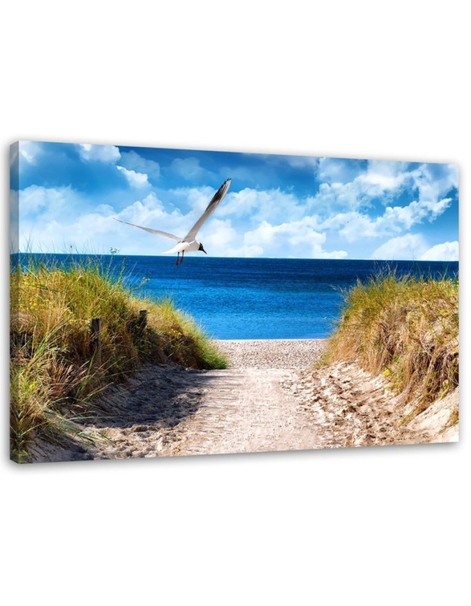 Canvas painting for living room - Beach path and seagull | FEEBY