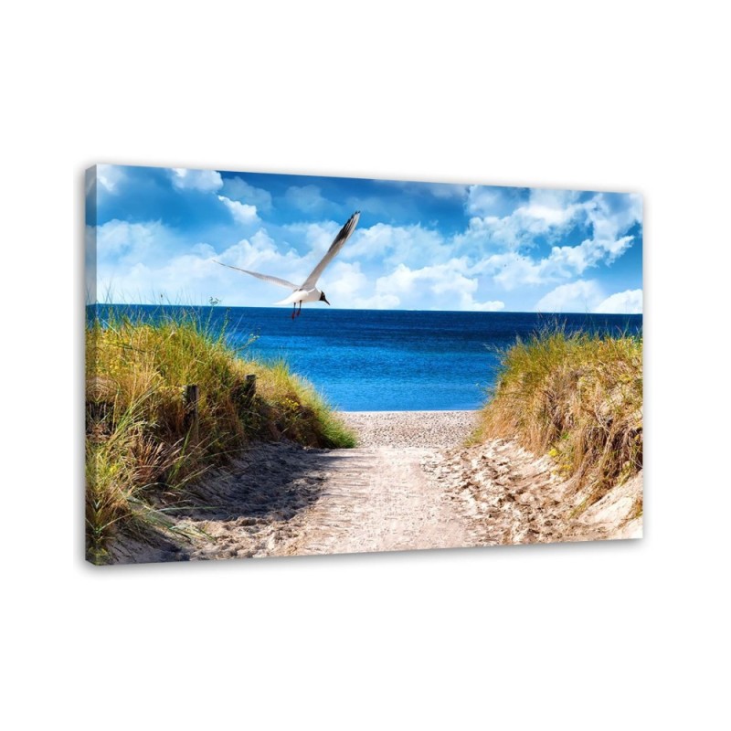 Canvas painting for living room - Beach path and seagull | FEEBY