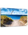 Canvas painting for living room - Beach path and seagull | FEEBY