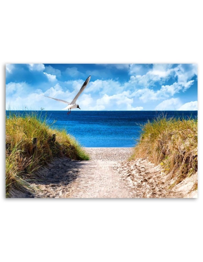 Canvas painting for living room - Beach path and seagull | FEEBY