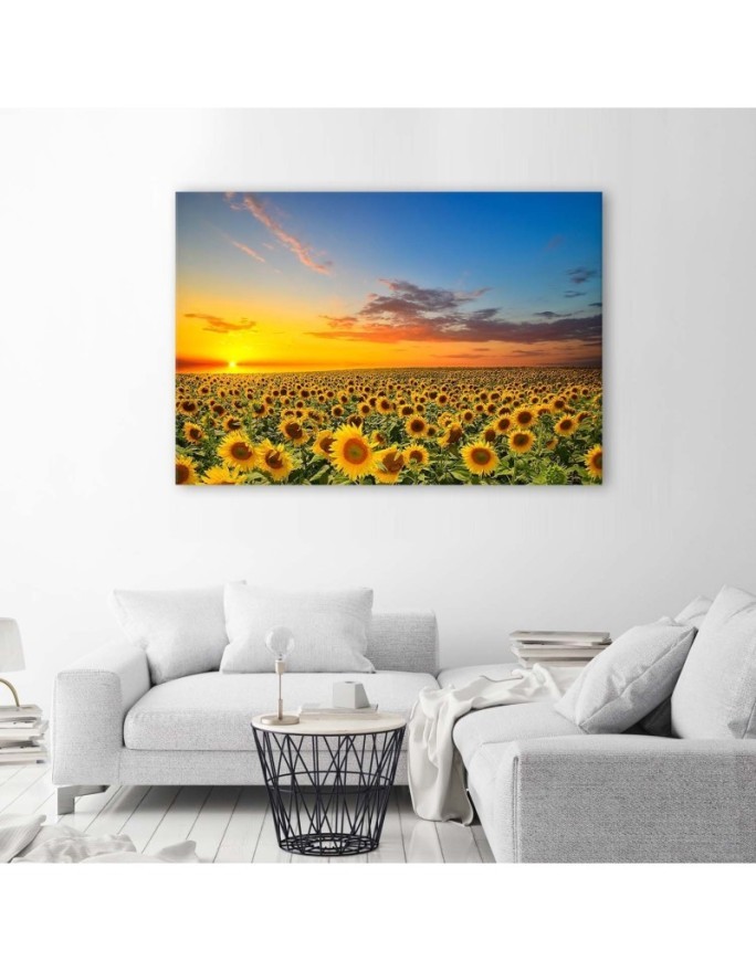 Canvas print - Sunflowers in a meadow at sunset | FEEBY