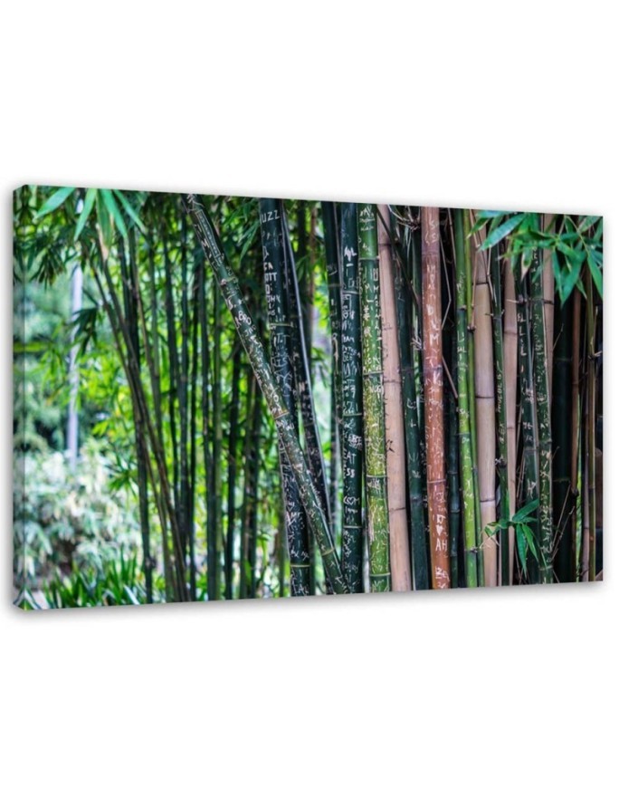 Bamboo forest nature - Canvas wall art painting | FEEBY
