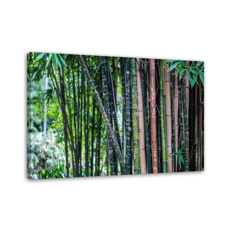 Bamboo forest nature - Canvas wall art painting | FEEBY