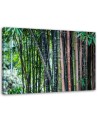 Bamboo forest nature - Canvas wall art painting | FEEBY