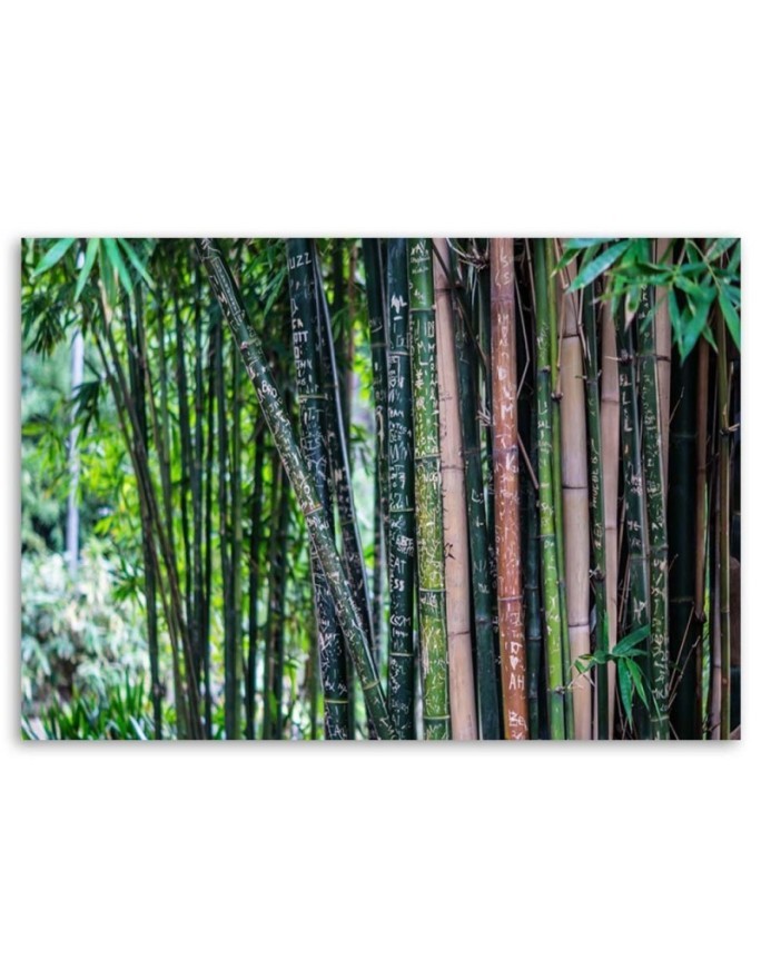 Bamboo forest nature - Canvas wall art painting | FEEBY