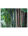 Bamboo forest nature - Canvas wall art painting | FEEBY