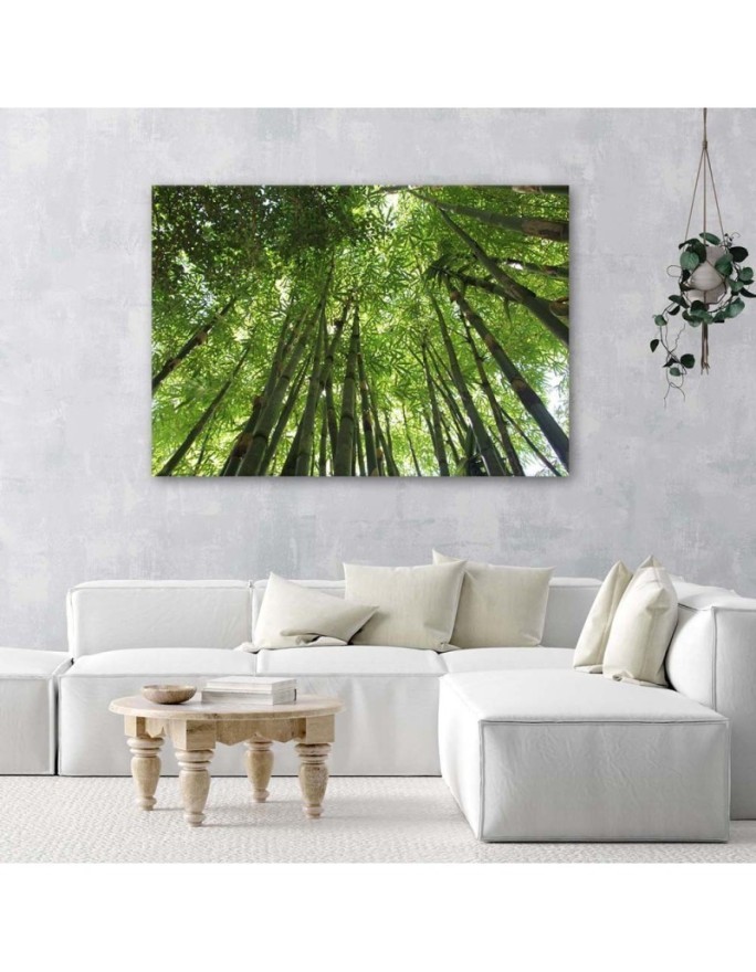 Bamboo forest - Modern Canvas painting for bedroom | FEEBY
