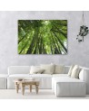 Bamboo forest - Modern Canvas painting for bedroom | FEEBY