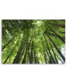 Bamboo forest - Modern Canvas painting for bedroom | FEEBY