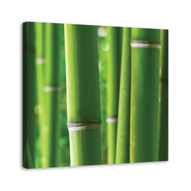 Bamboo - Modern painting for bedroom | FEEBY