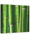 Bamboo - Modern painting for bedroom | FEEBY