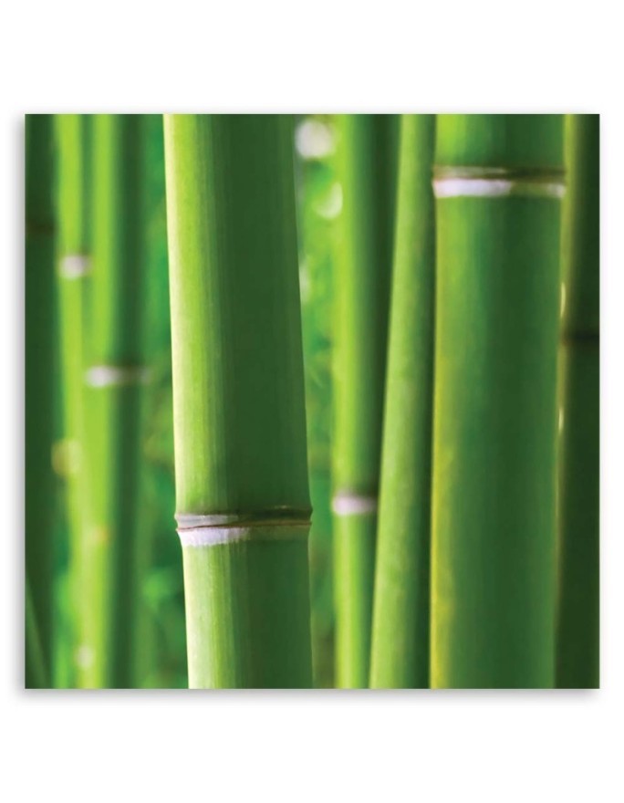 Bamboo - Modern painting for bedroom | FEEBY