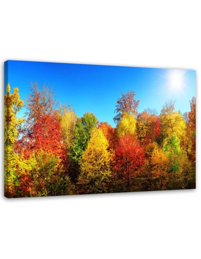 Canvas print Autumn Forest...