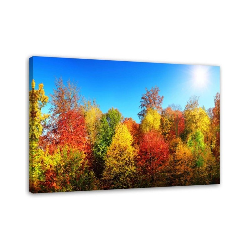Autumn trees - Modern Canvas painting for living room | FEEBY