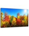 Autumn trees - Modern Canvas painting for living room | FEEBY