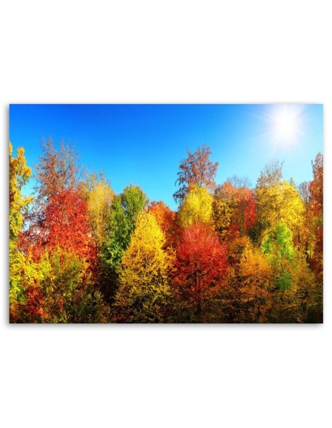 Autumn trees - Modern Canvas painting for living room | FEEBY