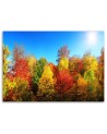 Autumn trees - Modern Canvas painting for living room | FEEBY