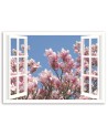 View from the window blooming magnolia - Canvas prints for the living room | FEEBY