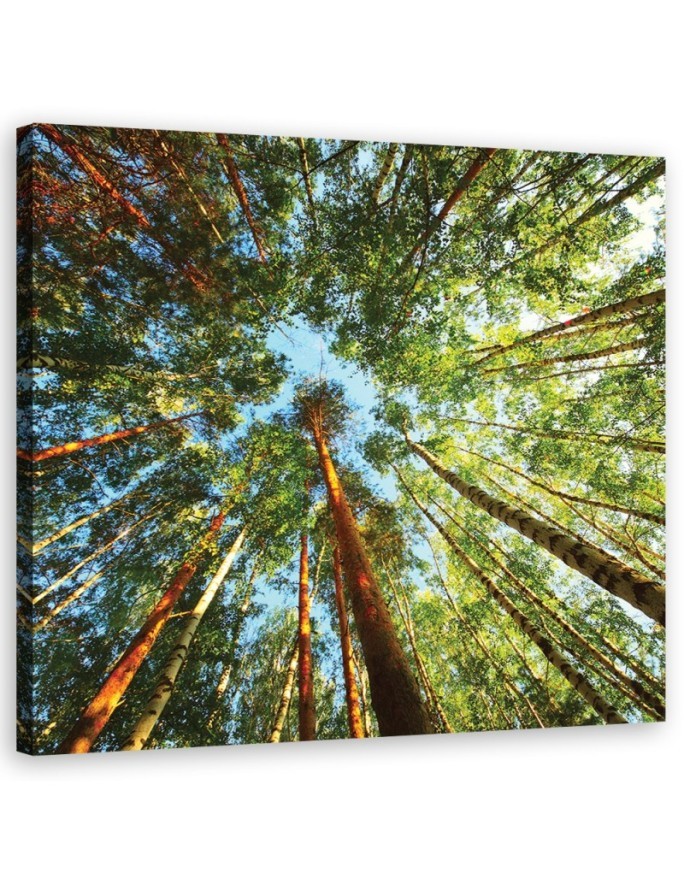Canvas painting for living room - Green forest landscape | FEEBY