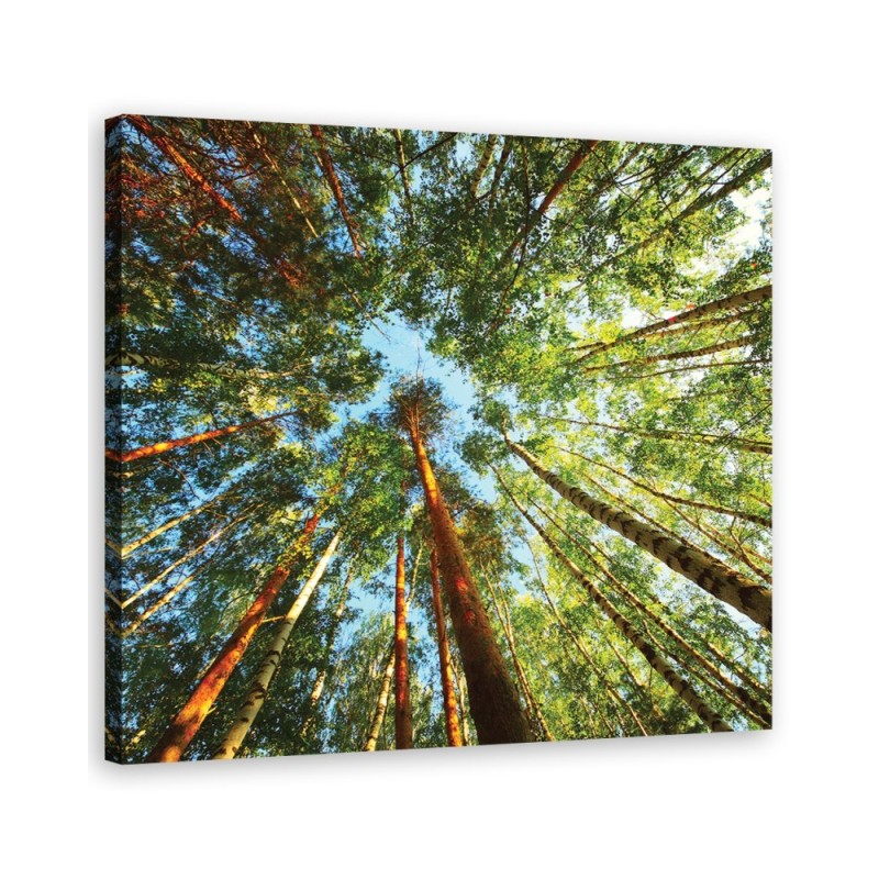 Canvas painting for living room - Green forest landscape | FEEBY