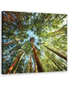 Canvas painting for living room - Green forest landscape | FEEBY
