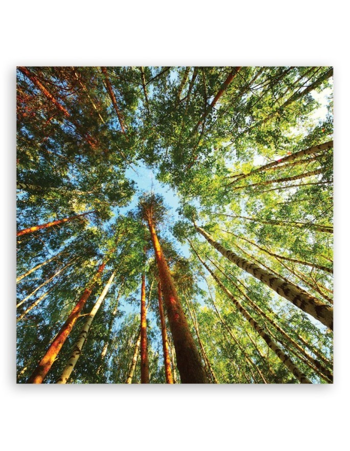 Canvas painting for living room - Green forest landscape | FEEBY