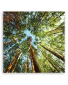 Canvas painting for living room - Green forest landscape | FEEBY