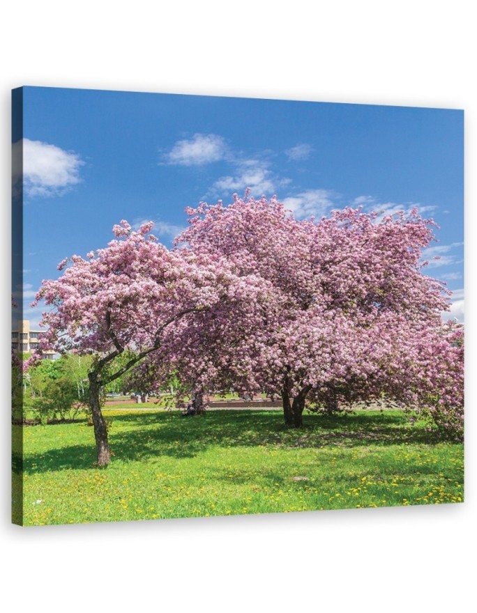 Canvas print modern - Landscape pink trees | FEEBY