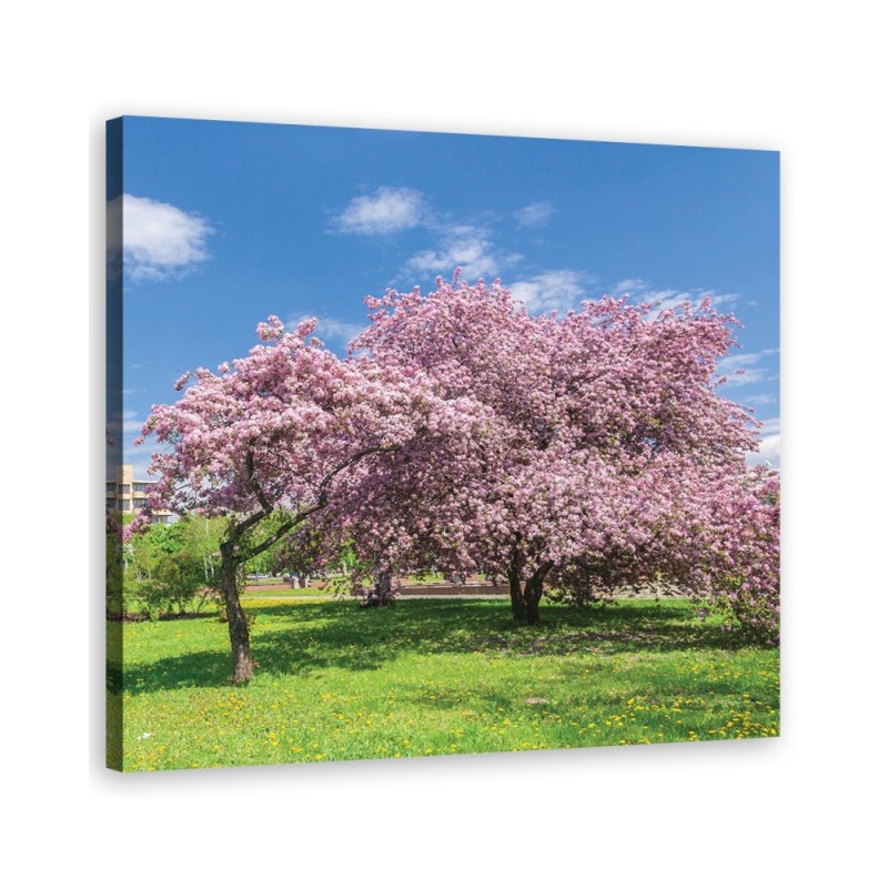 Canvas print modern - Landscape pink trees | FEEBY