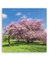 Canvas print modern - Landscape pink trees | FEEBY