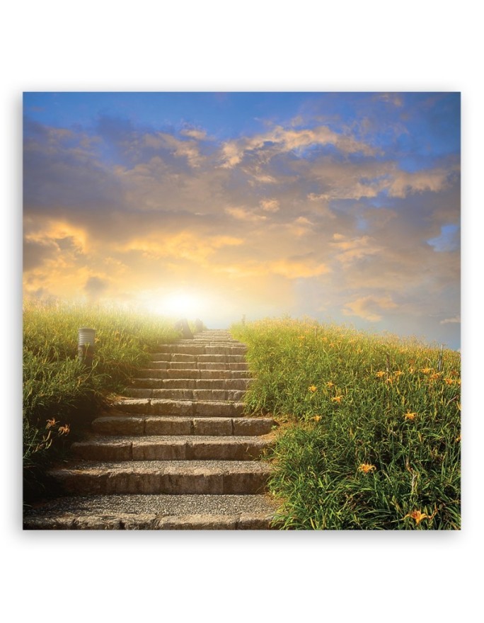 Modern Canvas painting for living room - Landscape nature meadow | FEEBY