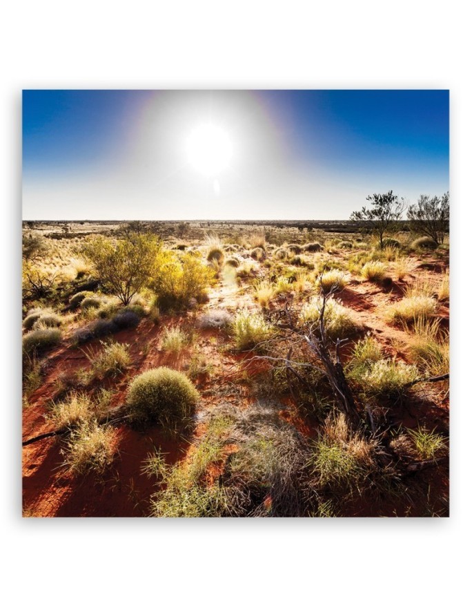 Desert landscape - Living room Canvas painting | FEEBY