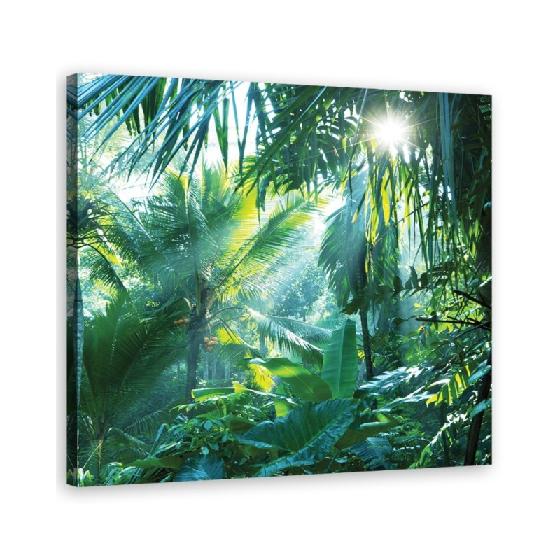 Canvas prints for bedroom modern - Tropical landscape | FEEBY