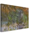 Canvas print - Tree landscape in a meadow | FEEBY