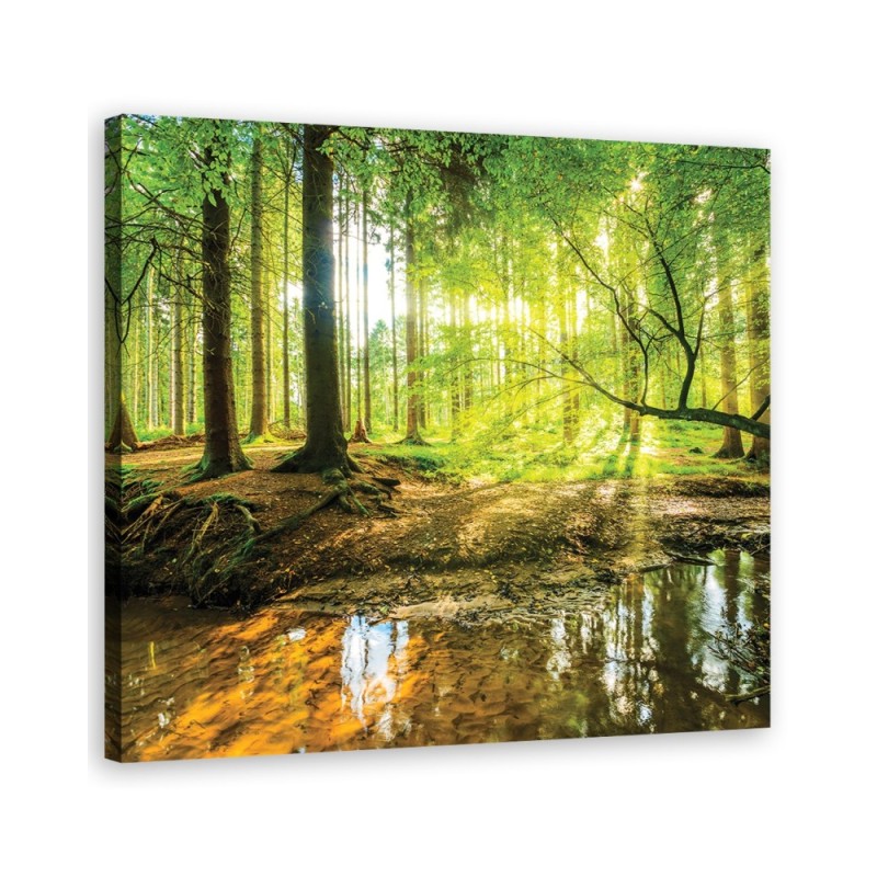 Modern Canvas prints for bedroom - Forest Lake Nature | FEEBY