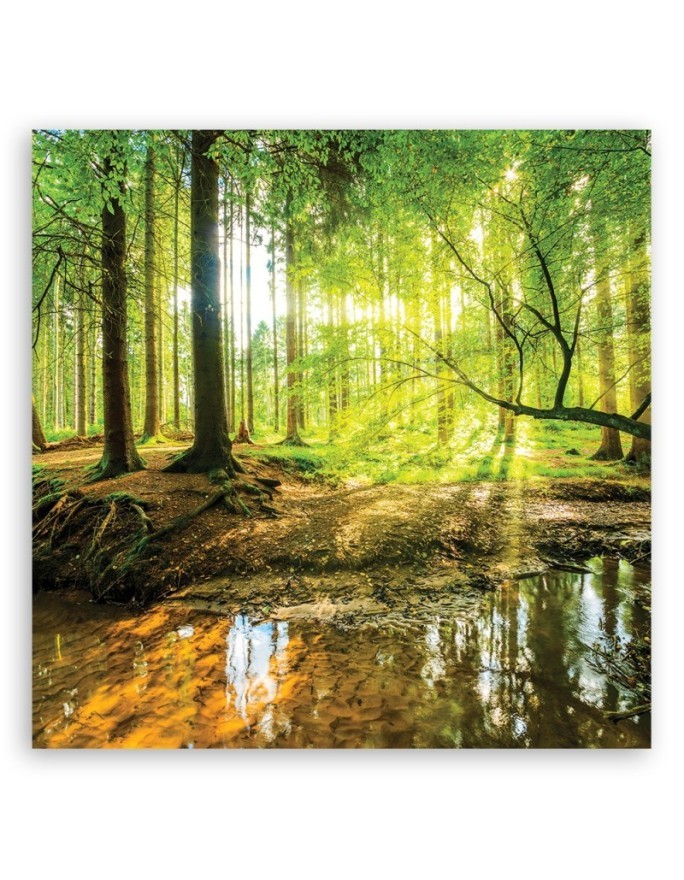 Modern Canvas prints for bedroom - Forest Lake Nature | FEEBY