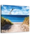 Canvas print - Beach path and seagull. Buy now| | FEEBY