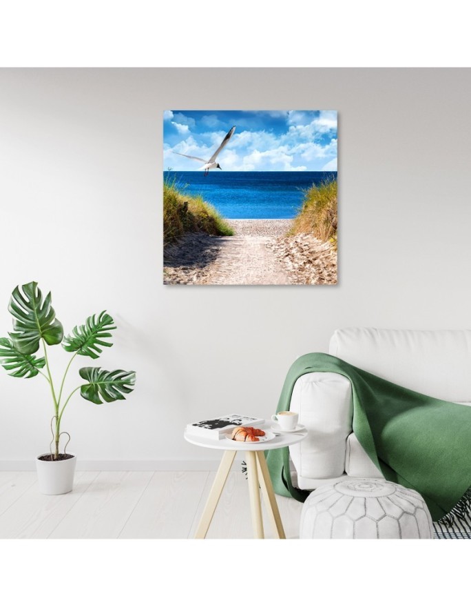 Canvas print - Beach path and seagull. Buy now| | FEEBY