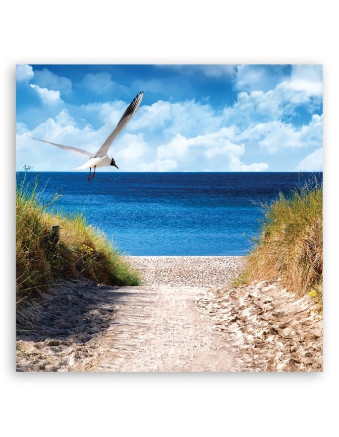 Canvas print - Beach path and seagull. Buy now| | FEEBY