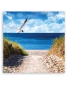 Canvas print - Beach path and seagull. Buy now| | FEEBY