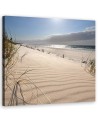 Canvas print - Dunes on the beach | FEEBY